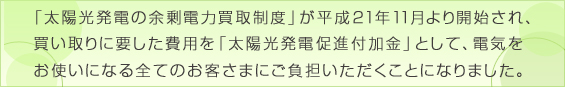 tepco_20110225.jpg